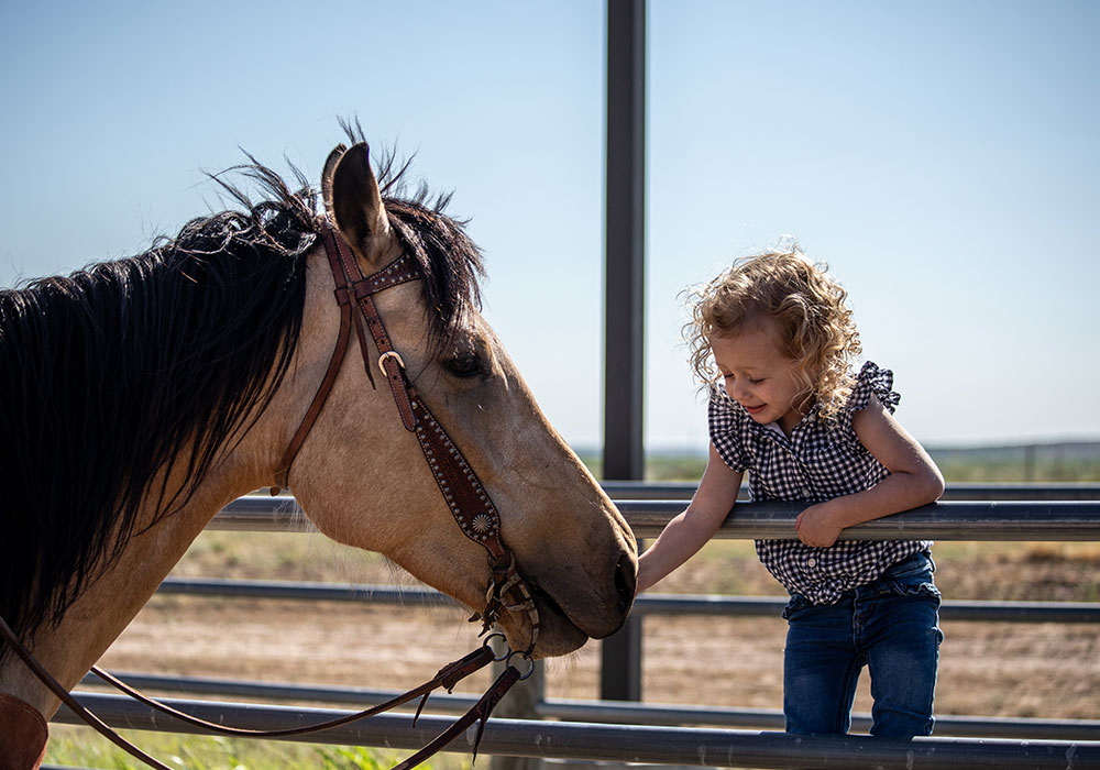 Girl petting horse | Sterling Equine